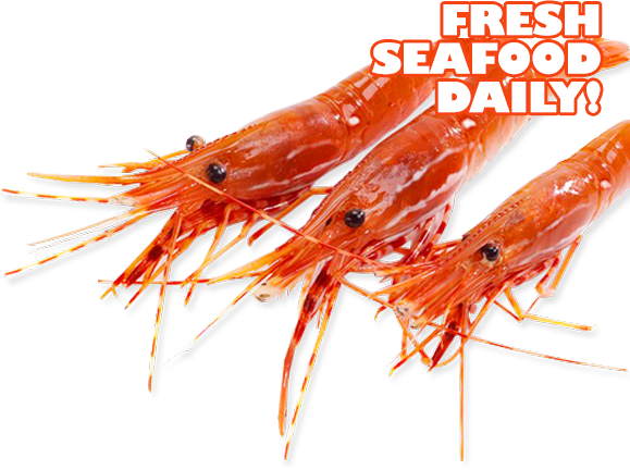 Shrimp
